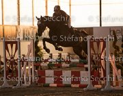 CAletto della Verdina TosTour2013- S5 3155 : Arezzo, Arezzo Equestrian Centre, Caletto della Verdina, Cavalli d'Italia, Toscana Tour 2013, foto di Stefano Secchi ©